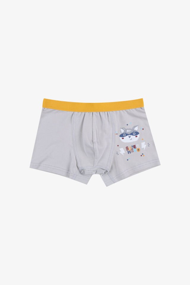 Erkek Çocuk Pamuklu Uzay Baskılı 3'lü Boxer Lacivert - Gri