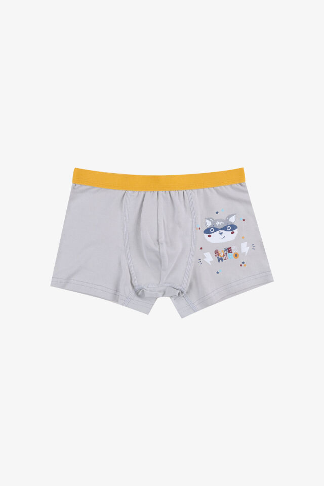 Erkek Çocuk Pamuklu Uzay Baskılı 3'lü Boxer Lacivert - Gri
