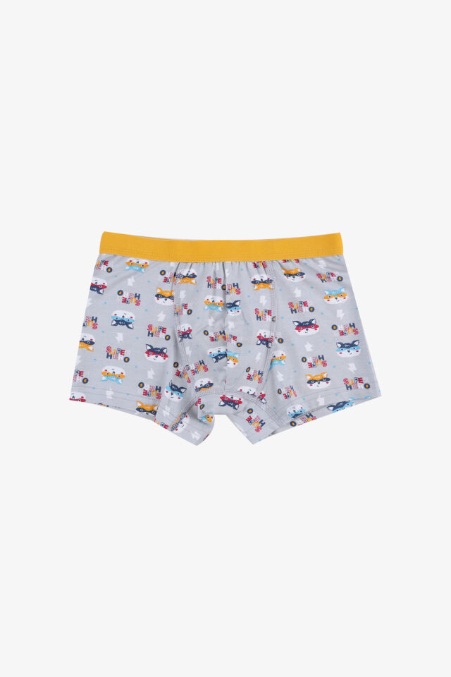Erkek Çocuk Pamuklu Uzay Baskılı 3'lü Boxer Lacivert - Gri