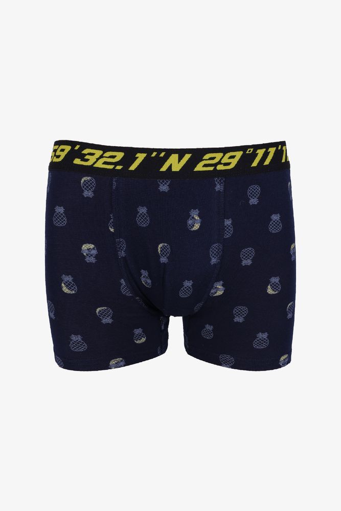 Erkek Tekli Pamuklu Boxer