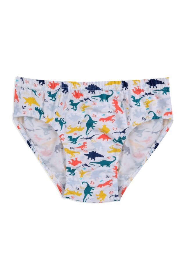 Erkek Çocuk 3'lü Sevimli Dinazor Baskılı Slip 3050-18 - 9-12 Yaş - 3050-18 - 9-12 Yaş