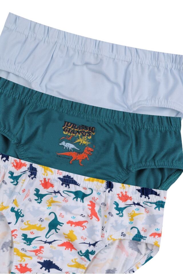 Erkek Çocuk 3'lü Sevimli Dinazor Baskılı Slip 3050-18 - 9-12 Yaş - 3050-18 - 9-12 Yaş