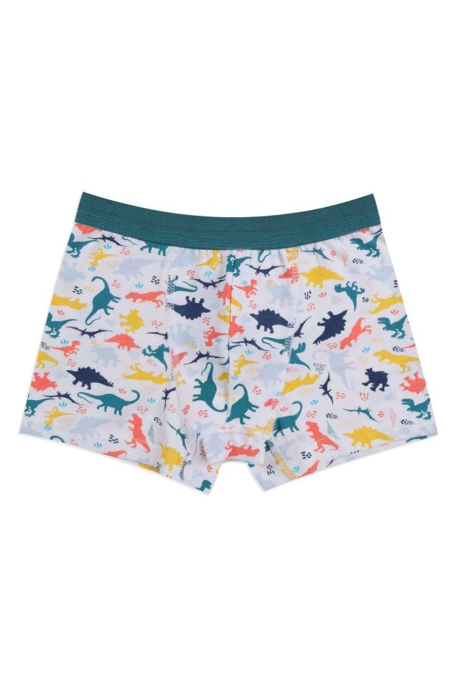 Erkek Çocuk Pamuklu Uzay Baskılı 3'lü Boxer 3053-17 - 7-9 Yaş - 3053-17 - 7-9 Yaş