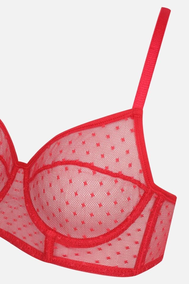 Kadın Puanlı Tüllü Sütyen Takım