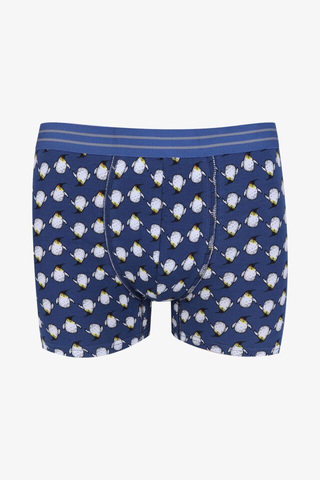Erkek 2'li Pamuklu Likralı Boxer KO9178-4 - L