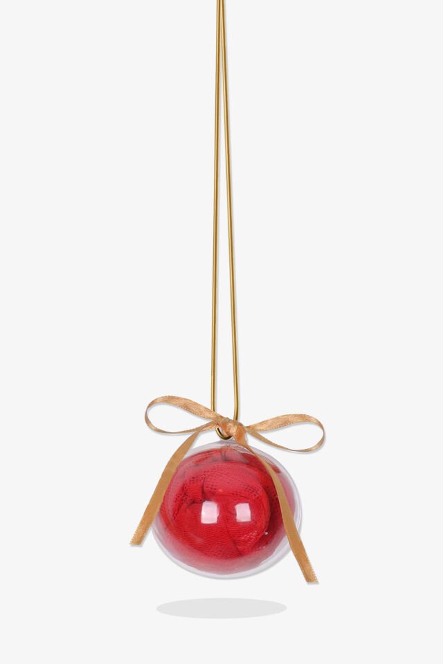 Sevgililer Günü Temalı Kadın Kalp Detaylı Dantelli Külot S/M - Kırmızı