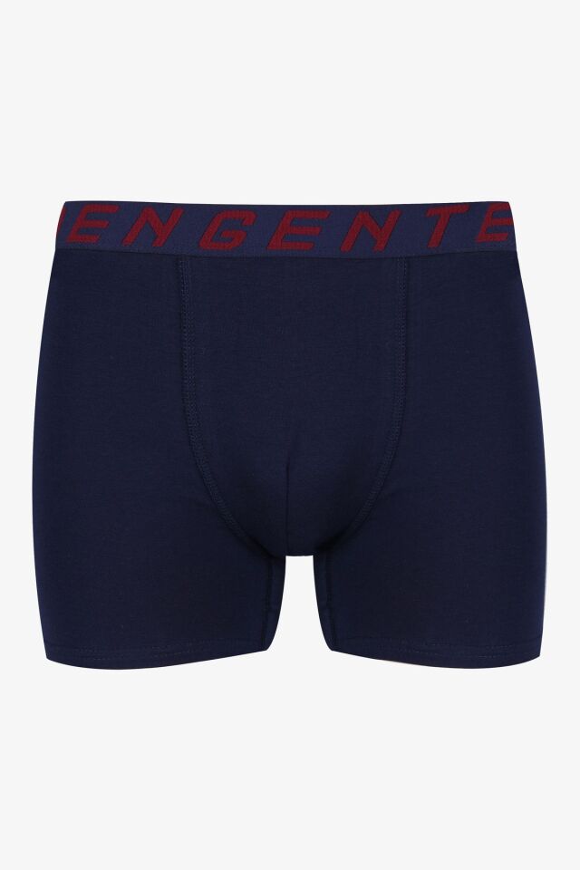 Erkek 2'li Pamuklu Likralı Boxer KO9178-19 - L