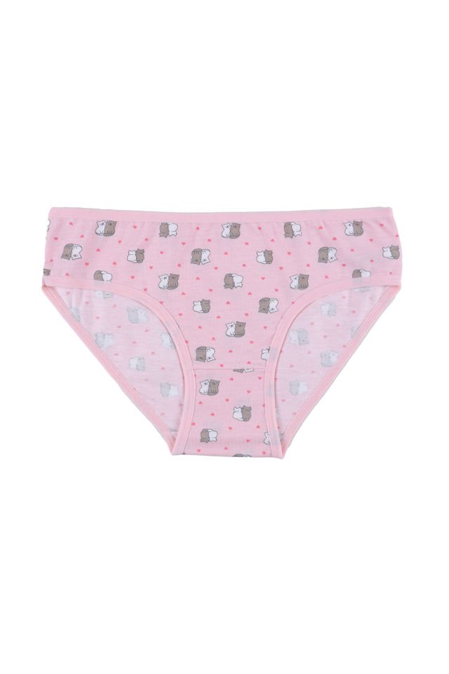 Kız Çocuk 6'lı Desenli Slip