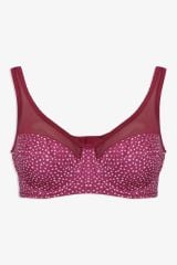 Kadın Puanlı Desenli Tül Detaylı Dolgusuz Toparlayıcı Minimizer Sütyen