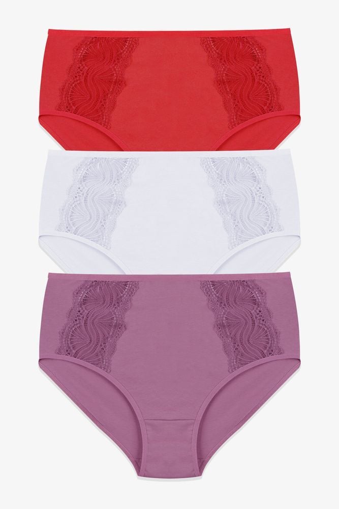 Kadın 3'lü Pamuklu Yan Dantelli Yüksek Bel Curve Külot
