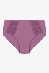 Kadın 3'lü Pamuklu Yan Dantelli Yüksek Bel Curve Külot