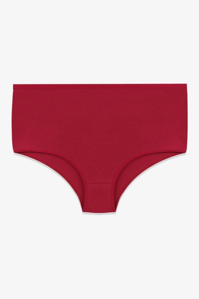 Kadın 5'li Likralı Curve Büyük Beden Battal Ekstra Yüksek Bel Külot