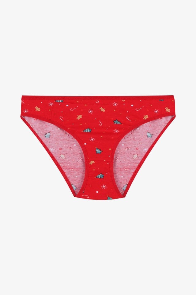 Kadın 3'lü Pamuklu Basic Külot