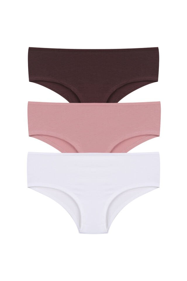 Kadın Pamuklu 3'lü Likralı Hipster Külot L - XL