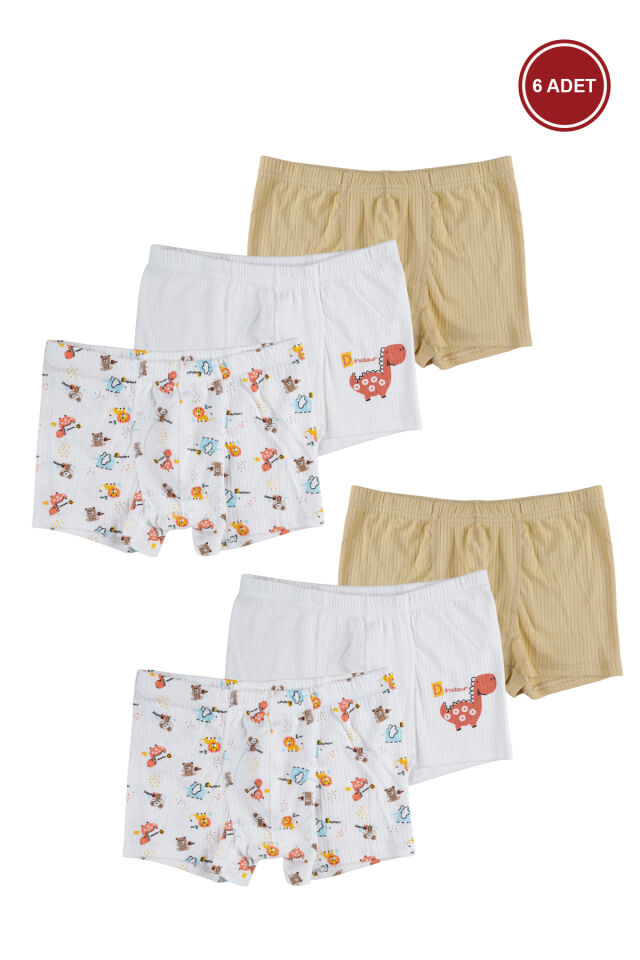 Erkek Çocuk Pamuklu Fitilli 6'lı Desenli Boxer