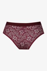 Kadın 3'lü Dantelli Yan Dekolteli Külot