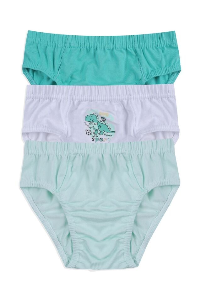 Erkek Çocuk 3'lü Sevimli Dinazor Baskılı Slip 3050-15 - 3-4 Yaş