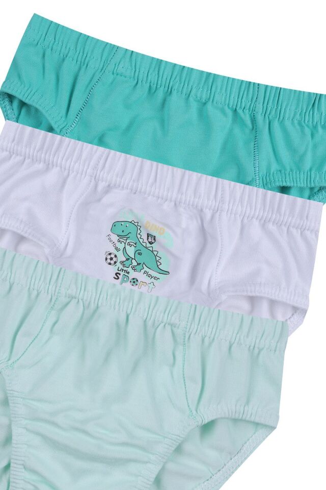 Erkek Çocuk 3'lü Sevimli Dinazor Baskılı Slip 3050-15 - 3-4 Yaş