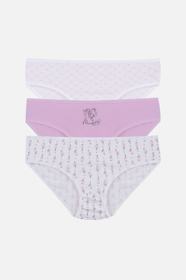 Kız Çocuk 3'lü Sevimli Fare Desenli Slip 1050-111 - 9-12 Yaş