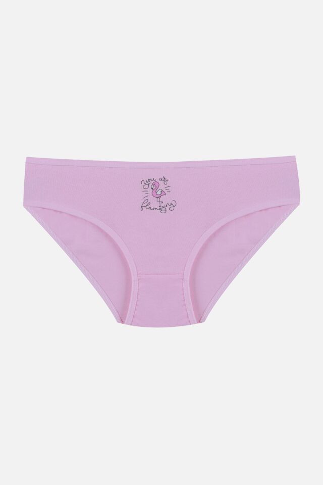 Kız Çocuk 3'lü Sevimli Fare Desenli Slip 1050-111 - 9-12 Yaş