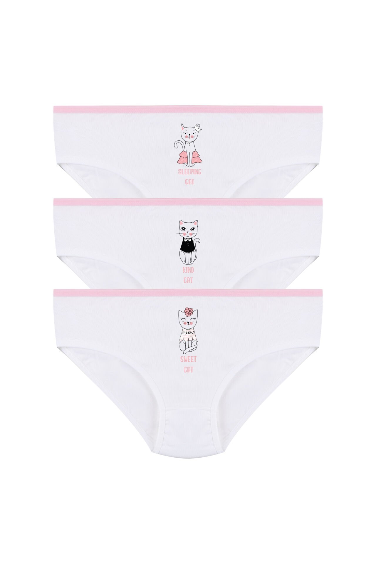 Kız Çocuk 3'lü Sevimli Fare Desenli Slip Pudra - 9-11 Yaş