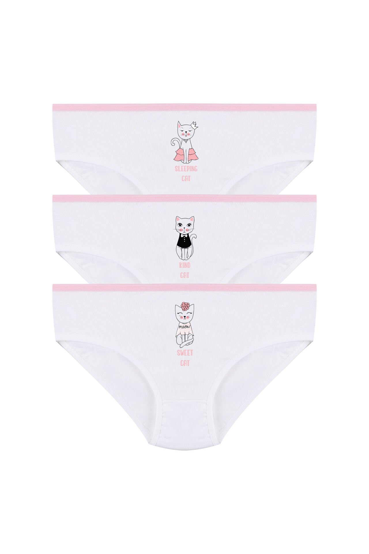 Kız Çocuk 3'lü Sevimli Fare Desenli Slip Pudra - 9-11 Yaş