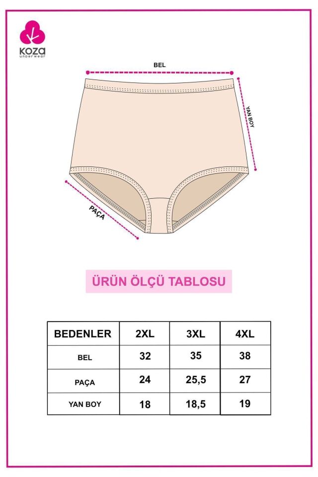 Kadın 5'li Likralı Curve Büyük Beden Battal Ekstra Yüksek Bel Külot 5005BKTL-2 - 4XL