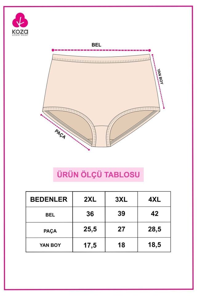 Kadın 5'li Likralı Curve Büyük Beden Battal Ekstra Yüksek Bel Külot 5305BKTL-3 - 2XL