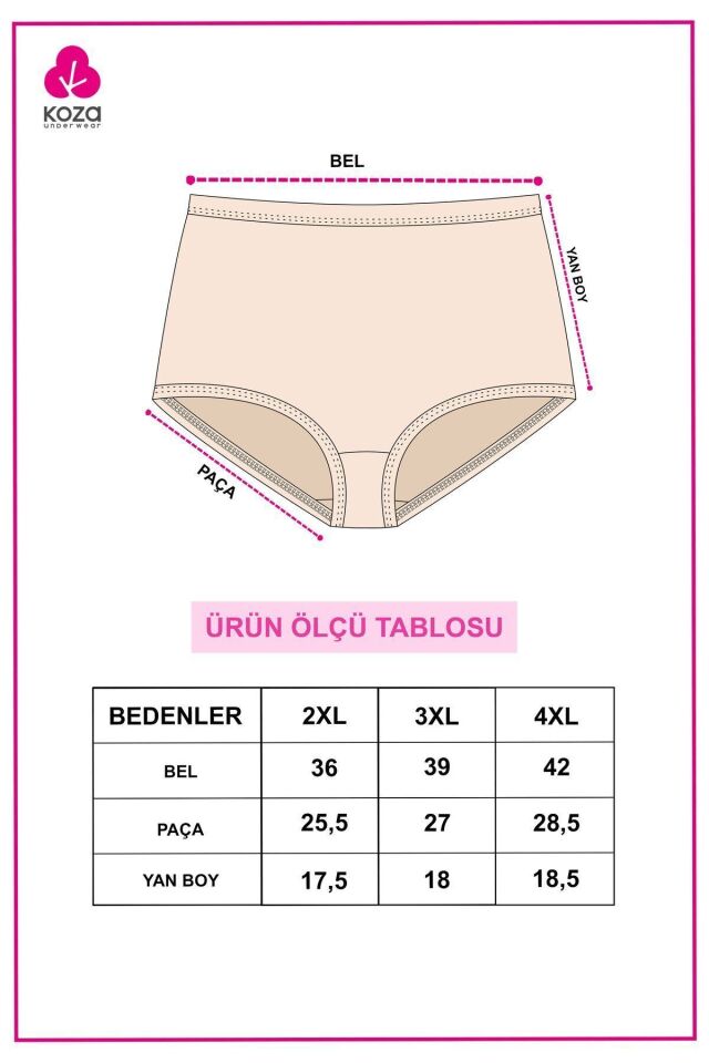 Kadın 5'li Likralı Curve Büyük Beden Battal Ekstra Yüksek Bel Külot 5305BKTL-2 - 3XL