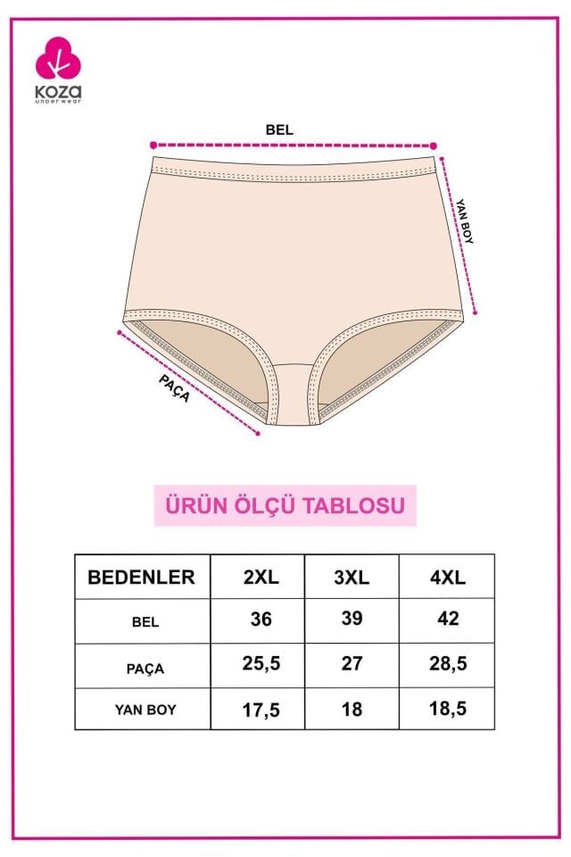 Kadın 5'li Likralı Curve Büyük Beden Battal Ekstra Yüksek Bel Külot 5305BKTL-2 - 2XL