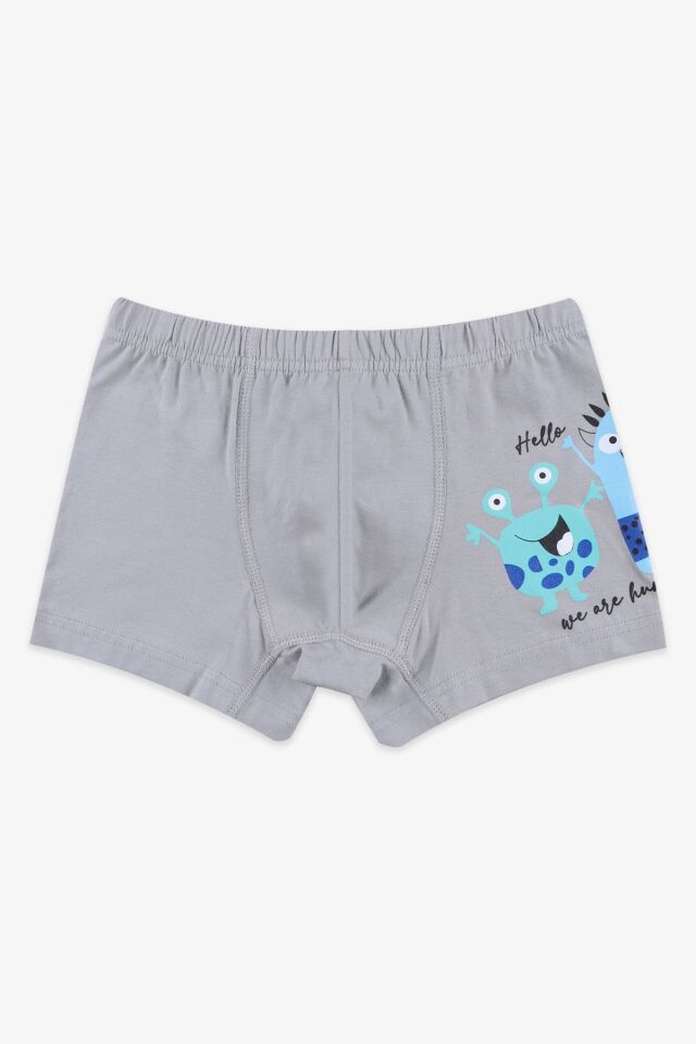 Erkek Çocuk 5'li Pamuklu Sevimli Canavar Desenli Boxer KO3021-2 - 3-5 Yaş